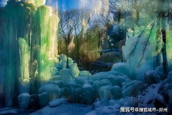 棚室黄瓜如何应对寒潮